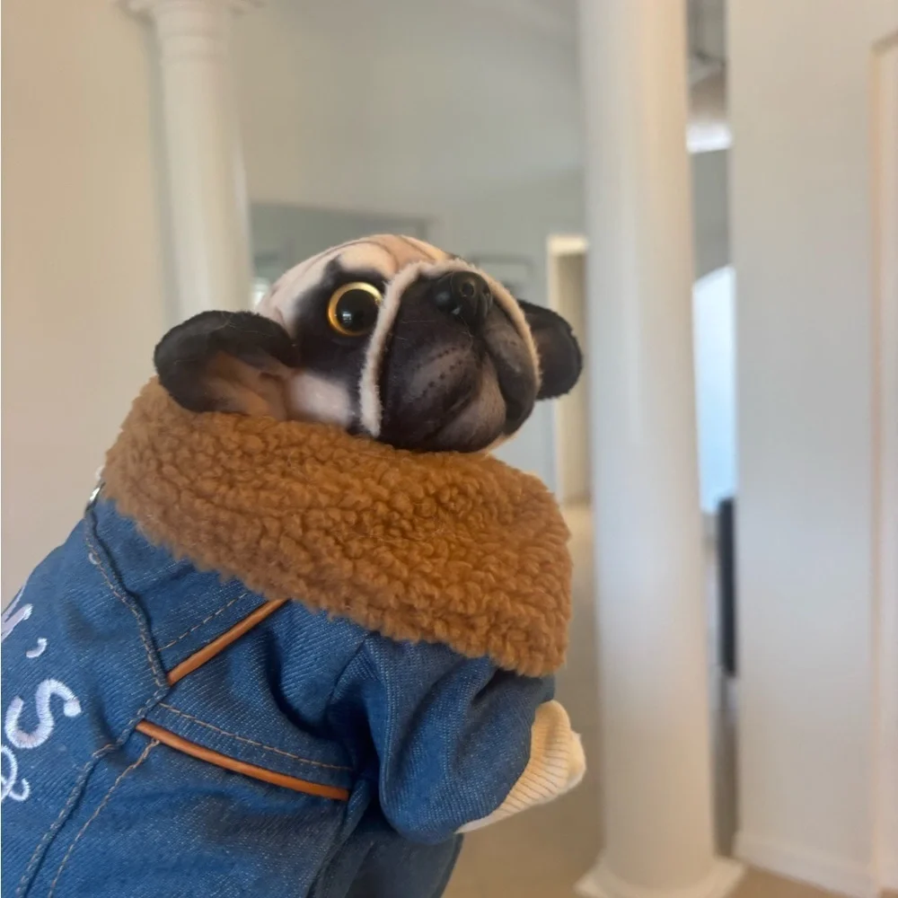 Cozy Denim Dog Jacket with Brown Fleece Lining For Your Very Precious Furry Legs